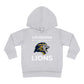 ROAR Toddler Pullover Fleece Hoodie