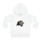 ROAR Toddler Pullover Fleece Hoodie